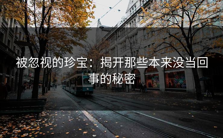 被忽视的珍宝：揭开那些本来没当回事的秘密