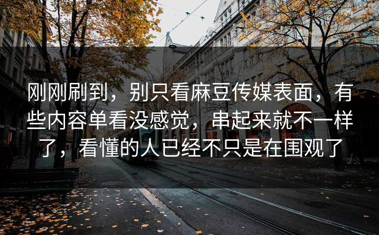 刚刚刷到，别只看麻豆传媒表面，有些内容单看没感觉，串起来就不一样了，看懂的人已经不只是在围观了