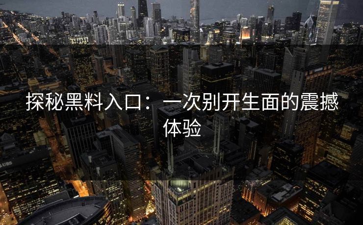 探秘黑料入口：一次别开生面的震撼体验