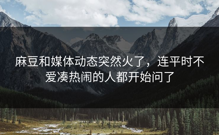 麻豆和媒体动态突然火了，连平时不爱凑热闹的人都开始问了