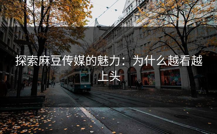 探索麻豆传媒的魅力：为什么越看越上头