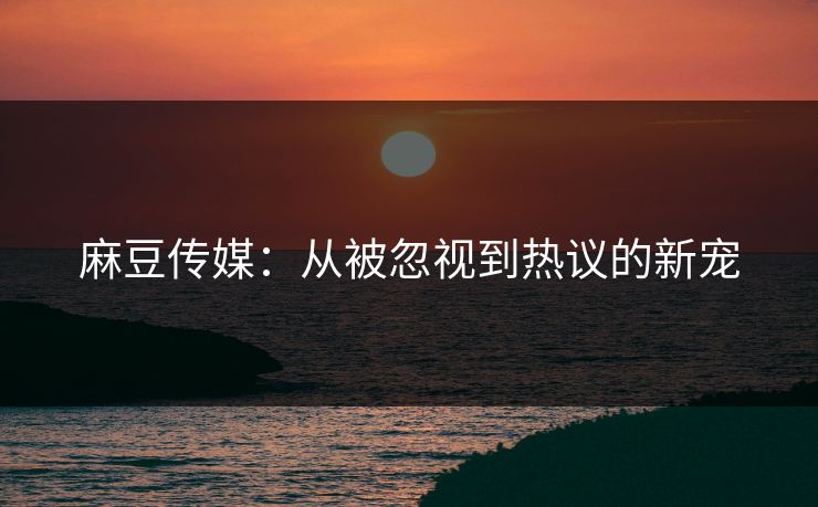 麻豆传媒:从被忽视到热议的新宠 麻豆传媒:从被忽视到热议的新宠