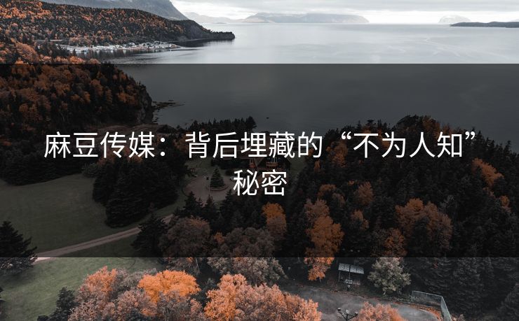 麻豆传媒：背后埋藏的“不为人知”秘密