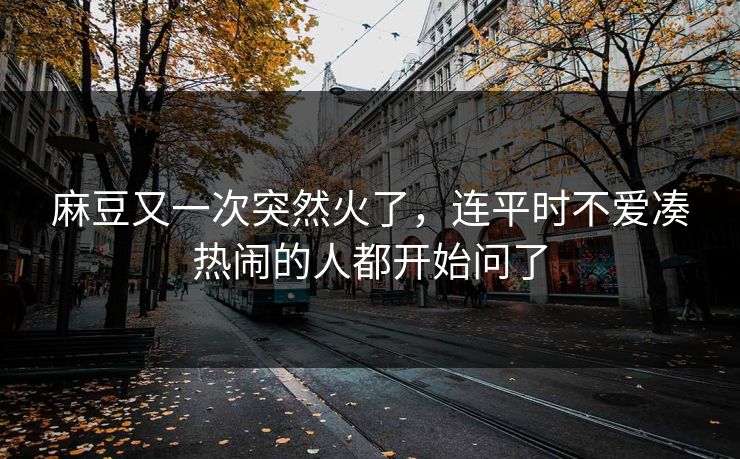 麻豆又一次突然火了，连平时不爱凑热闹的人都开始问了