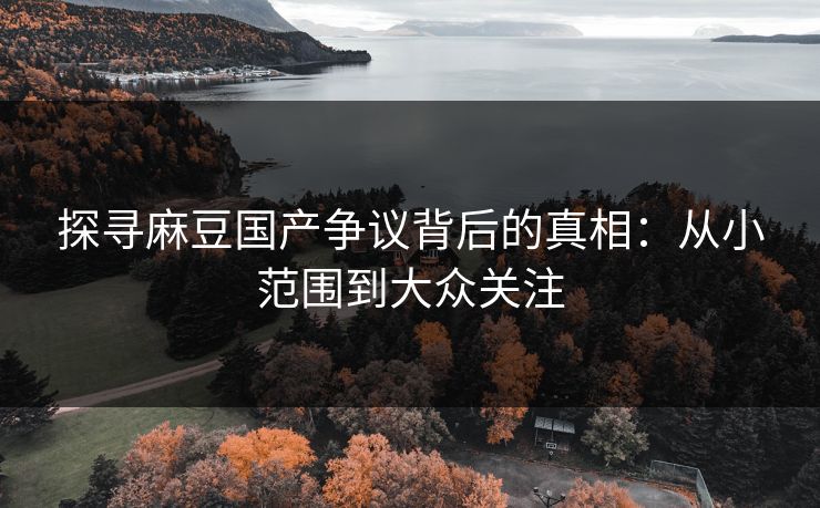 探寻麻豆国产争议背后的真相：从小范围到大众关注